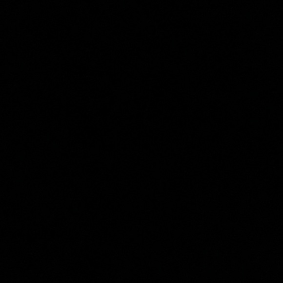 Meet your Posher - Picture 1 of 1